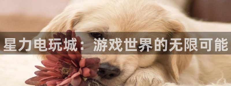 鼎点娱乐登陆地址