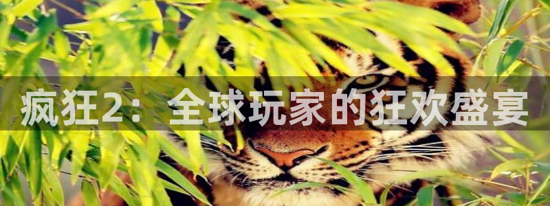 鼎点娱乐平台官网入口：疯狂2：全球玩家的狂欢盛宴