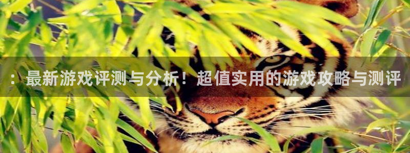 鼎点娱乐平台注册开户：：最新游戏评测与分析！超值实用的游戏攻